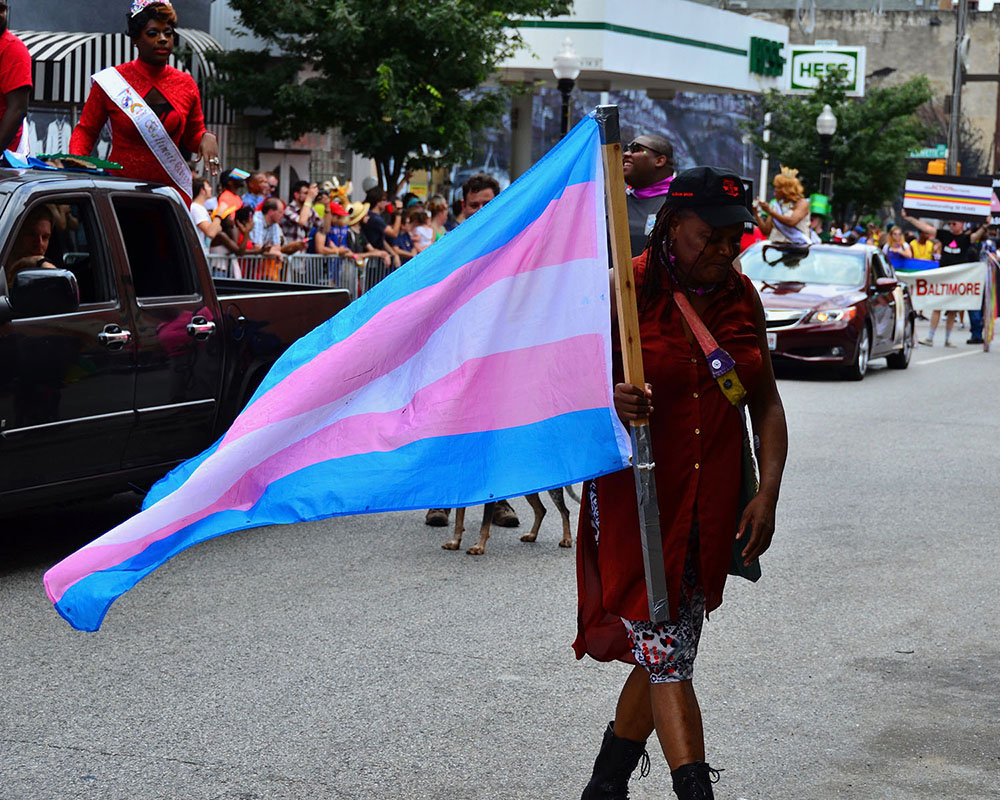 図12.6 | 最も広く知られているトランスジェンダー・プライドの旗は、トランスジェンダー女性で米海軍退役軍人のモニカ・ヘルムズによってデザインされました。他のデザイナーはこのトランスジェンダーの旗について異なる解釈をしており、LGBTQコミュニティー内の他のグループも独自の旗やシンボルを持っています。興味深いことに、最初に広く採用されたプライドの旗のデザイナーであるギルバート・ベイカーは、他の人が再解釈して再利用できるように、旗に商標やその他の制限をかけないことを重視していました。(Credit: crudmucosa/flickr)