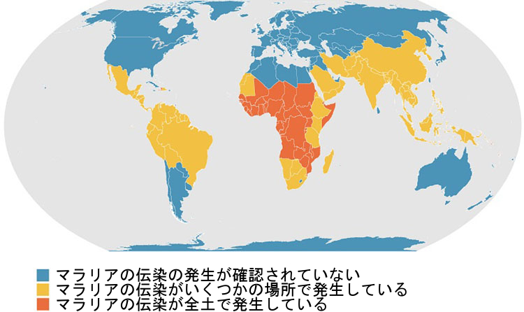 図19.8 | この地図は、マラリアの発生が確認されている国々を示しています。低所得国では、マラリアは依然として一般的な死因です。(Credit: CDC/Wikimedia Commons)