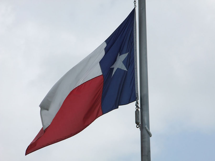 図21.6 | テキサス・シシード!はテキサス州のアメリカ合衆国からの分離独立を望む団体です。(Credit: Tim Pearce/flickr)