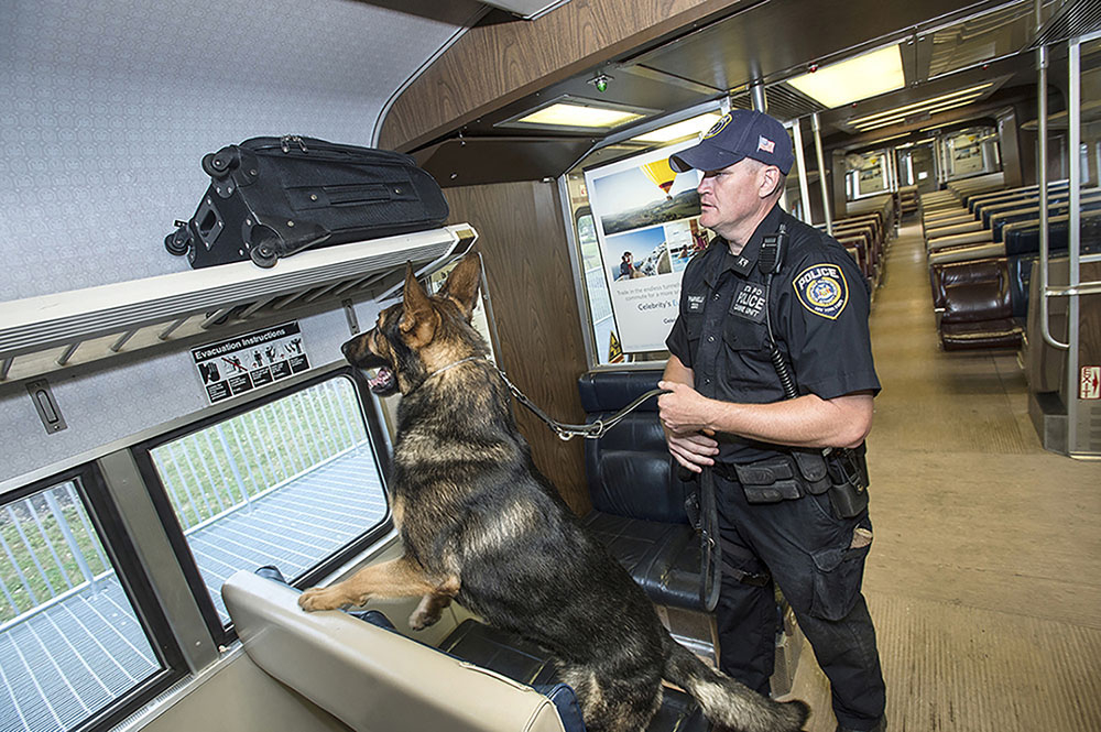 図7.10 | 警察は、地域を守り、犯罪を防止するために、さまざまな道具や資源を使用します。K9ユニットの一部として、犬は列車やその他の公共施設で爆発物や違法物質を捜索します。(Credit: MTA/flickr)